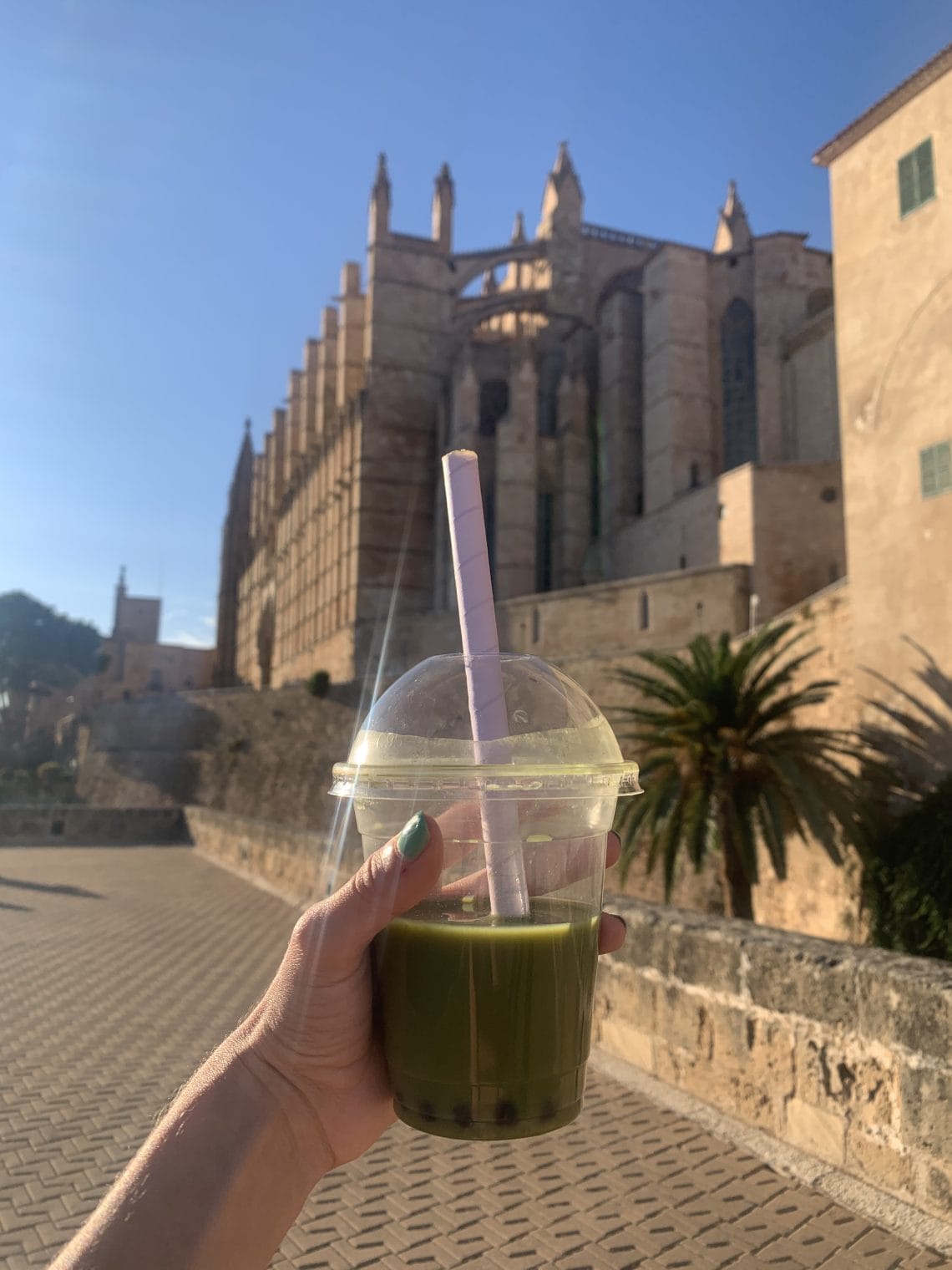 bubble tea en Mallorca